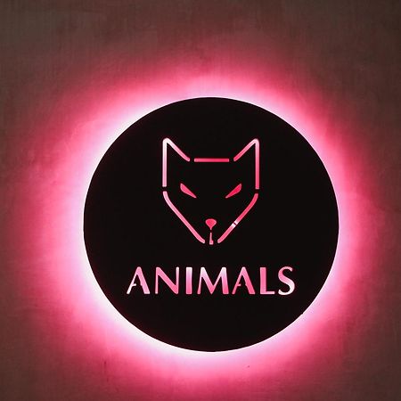 فندق Animals آهانغاما المظهر الخارجي الصورة